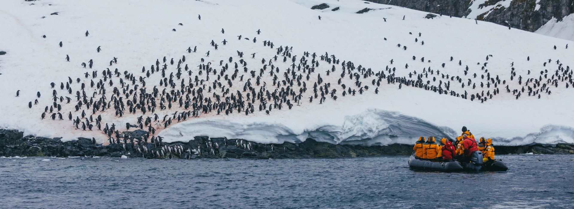 Antarctica – Whale watching discovery and learning voyage
